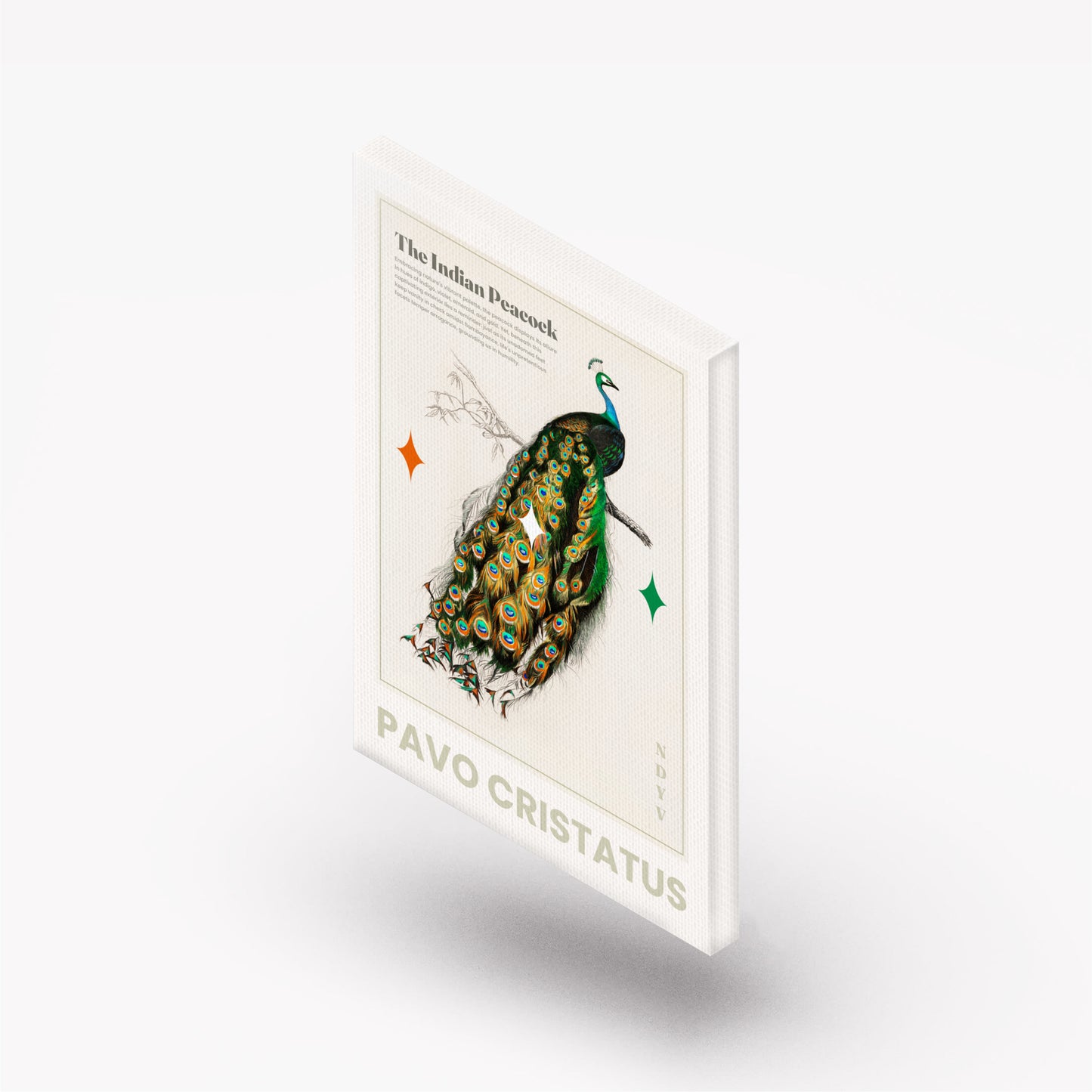 The National Bird Canvas