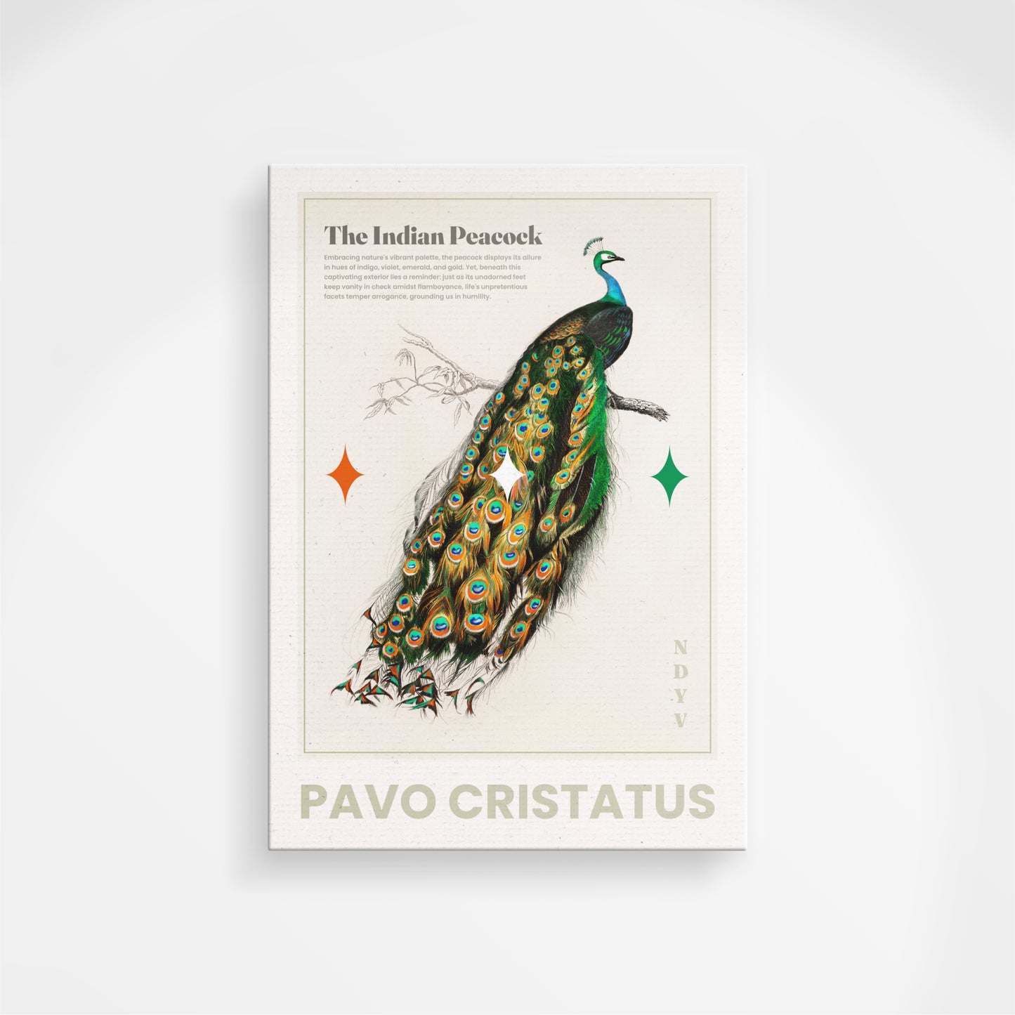 The National Bird Canvas