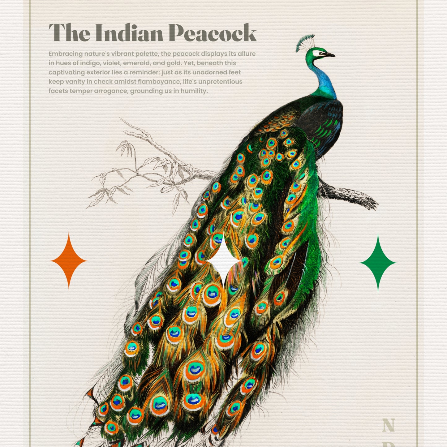 The National Bird Canvas