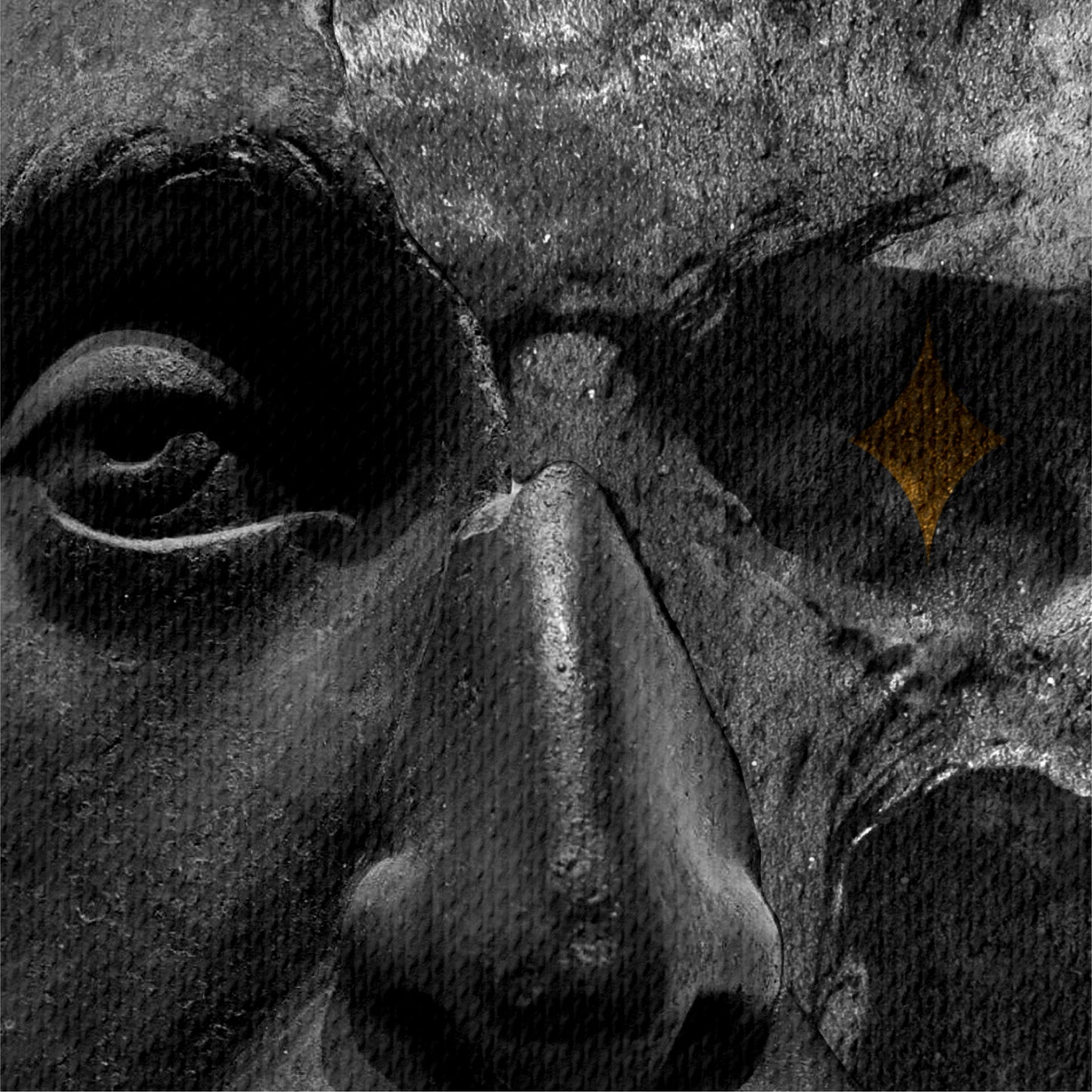 The Stoic Man Canvas