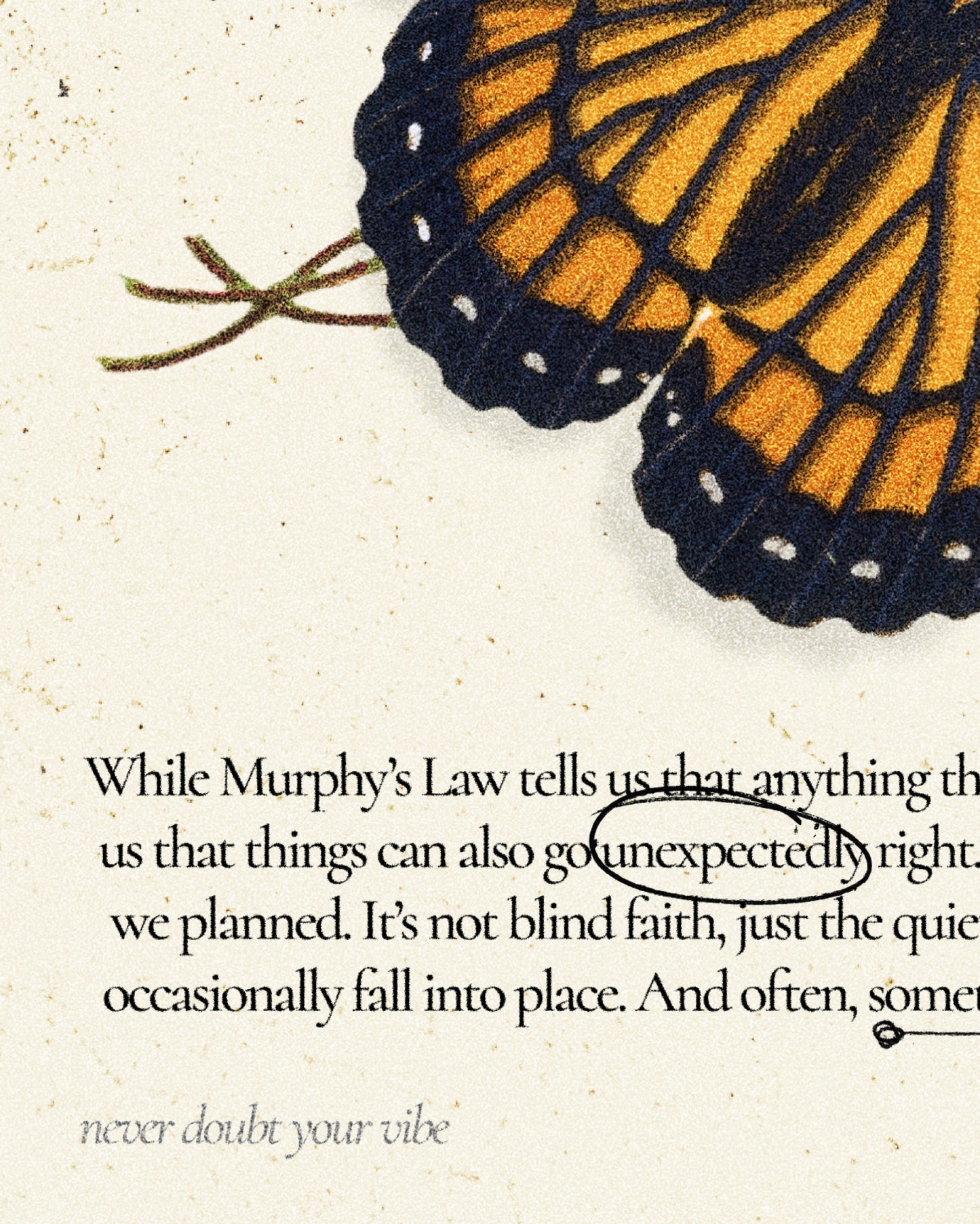 Not Murphy's - Canvas