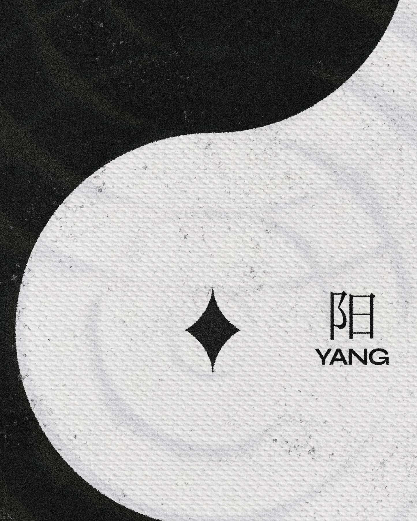 Yin Yang - Canvas