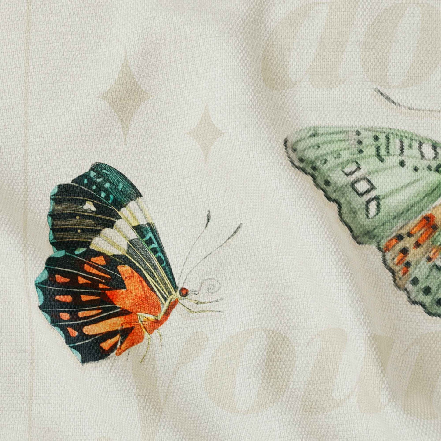 Metamorphosis