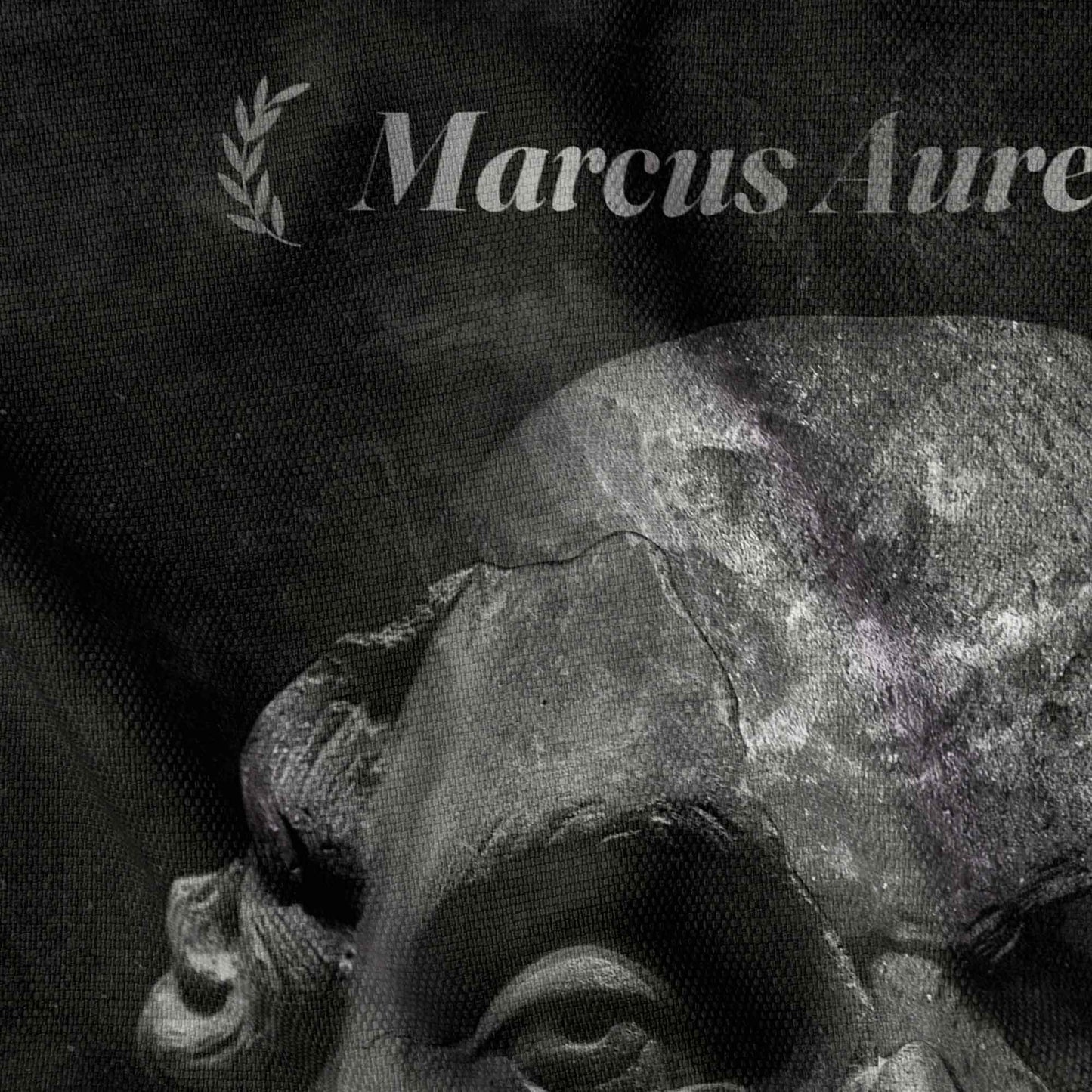 The Stoic Man