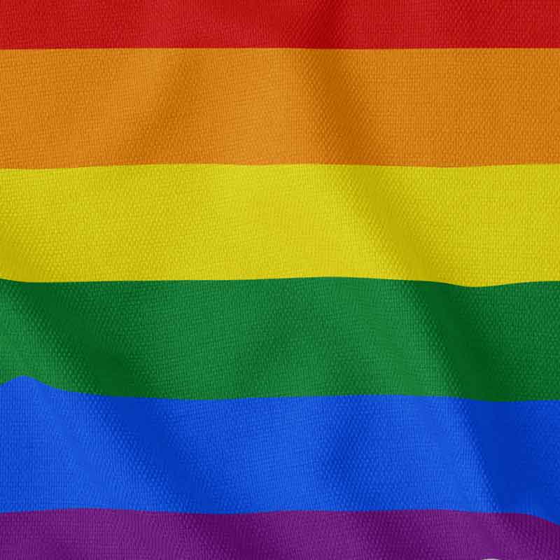 LGBTQ+ Flag