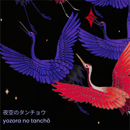 Yozora No Tanchō Canvas
