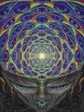 Introspectus - Tapestry