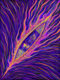 Tunnel Vision - Tapestry