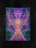 Shikiyoku - Tapestry
