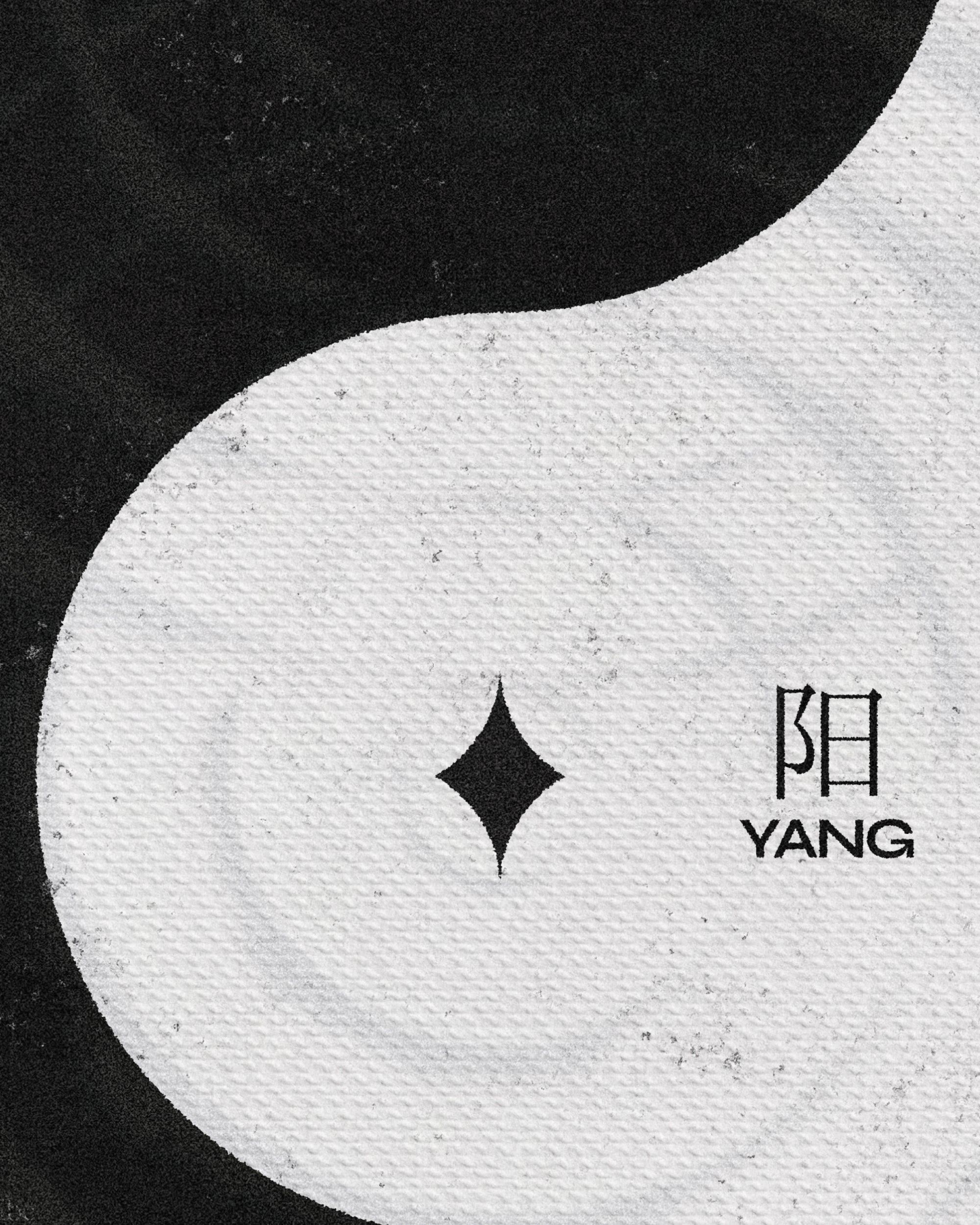 Yin Yang - Canvas