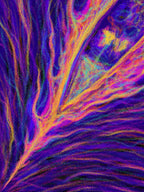 Tunnel Vision - Tapestry