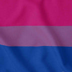 Bisexual Flag