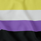 Non Binary Flag